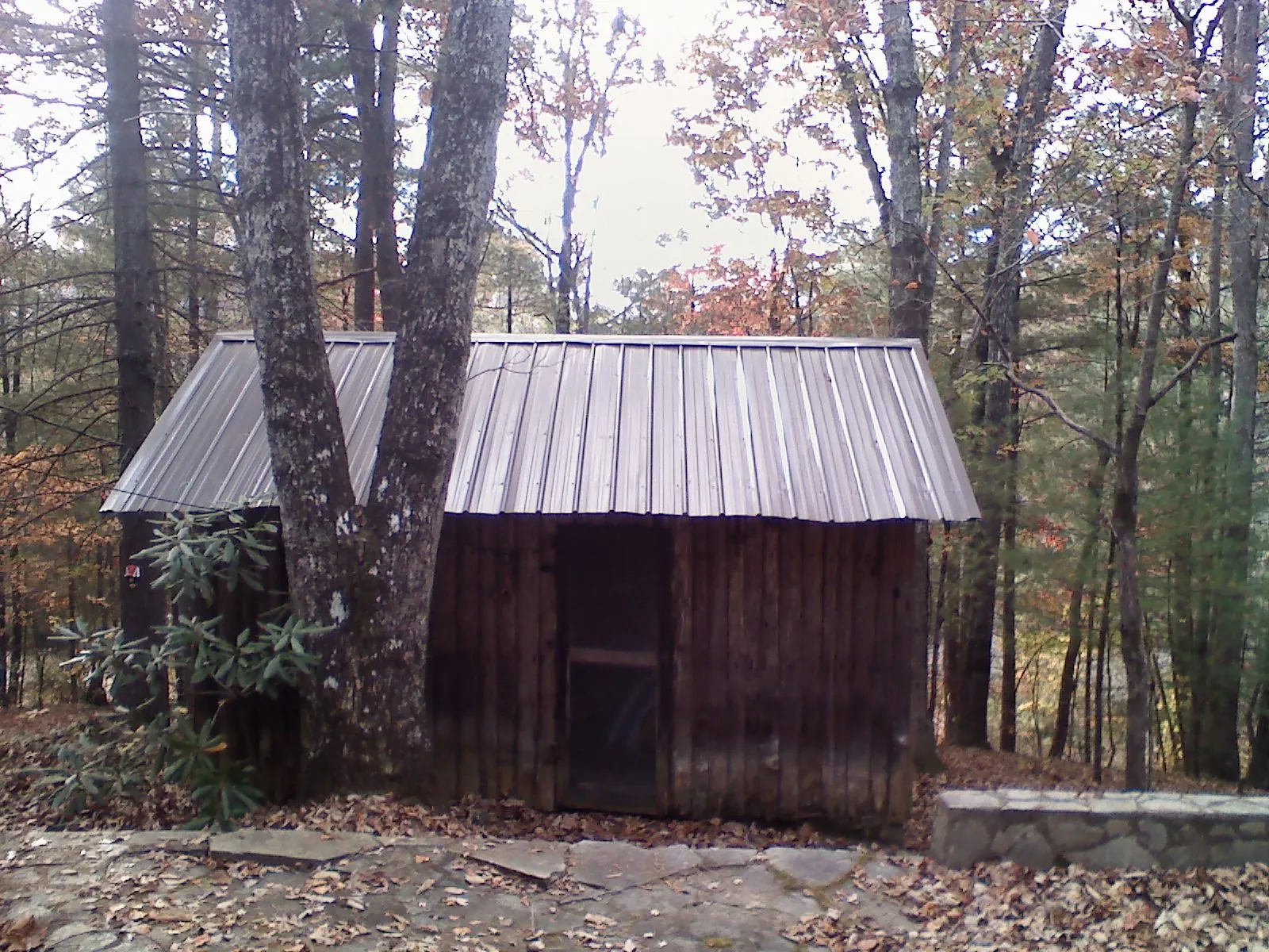New metal gable roof on a small log shed among the trees in Mulino